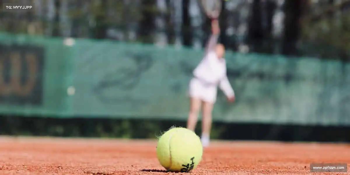 美狮贵宾会官网——🏀激情碰撞，球场称王！🏆